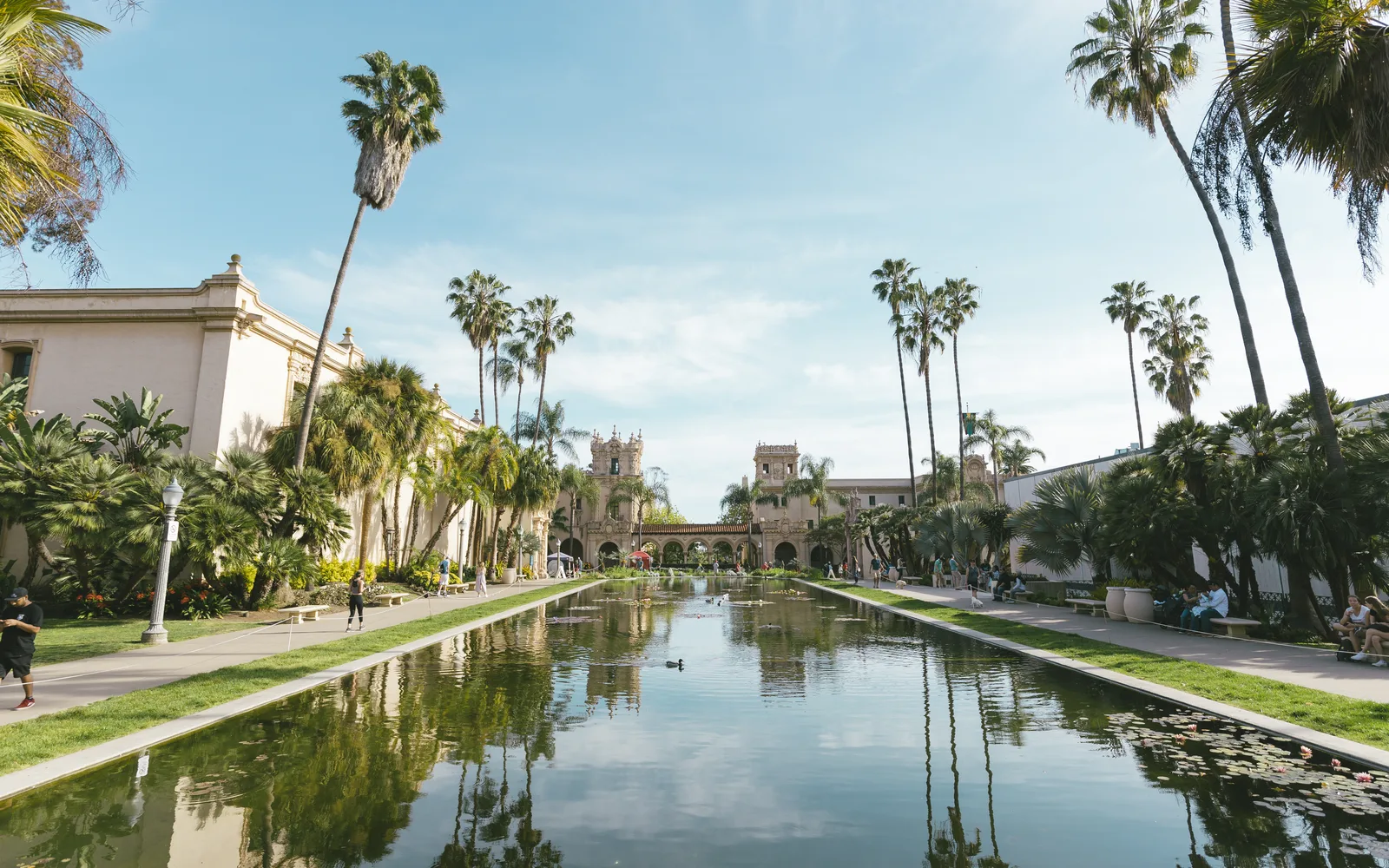 Lily pond with reflection at Balboa Park, San Diego